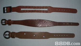 la liz industrial ltd.提供腰帶,皮手帶,服裝標簽等產品