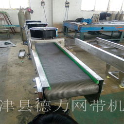 德力機械專業生產 皮帶輸送機 滾筒輸送機爬坡輸送機 不銹鋼輸送機 雙層轉彎機304不銹鋼 鏈板輸送機101